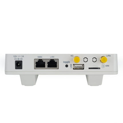 Dragino Gateway LG308N Indoor LoRaWAN Multichannel Pico Gateway