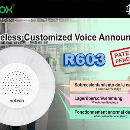 Netvox LoRaWAN AU915 MHz Netvox R603 Wireless LoRaWAN Customised Alarm and Voice Announcer