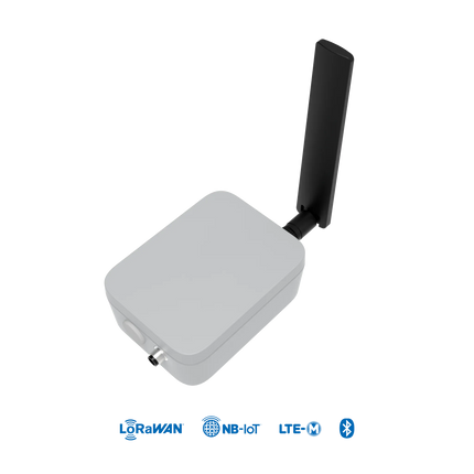 RAK Wireless Link.ONE LTE-M NB-IoT LoRaWAN Device Arduino IDE compatible