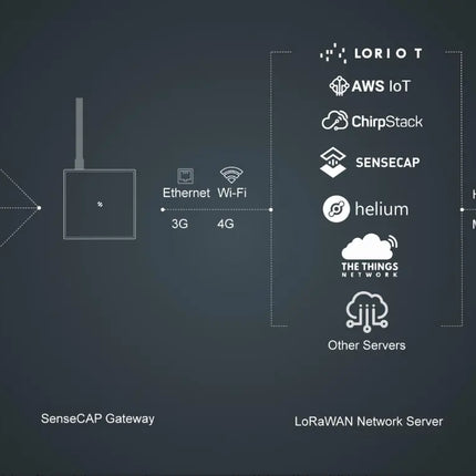 Seeed Studio Sensor SenseCAP S2107 LoRaWAN Temperature Sensor with PT1000