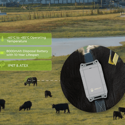 Seeed Studio Tracking Device SenseCAP Asset Tracker T2000 for Indoor and Outdoor Positioning GNSS