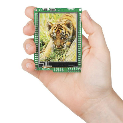 MikroElektronika Smart Displays Mikromedia for PIC32 - MikroElektronika Smart TFT Color Touch Display