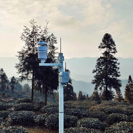 Seeed Studio Sensor SenseCAP ONE S900 9-in-1 Compact Weather Sensor